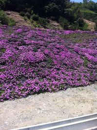 写真 12-05-27 11 17 46.jpg