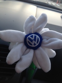VW花.JPG