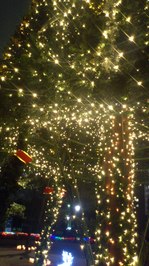 イルミ.JPGのサムネール画像