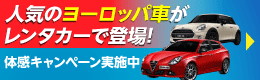 新型車種追加キャンペーン